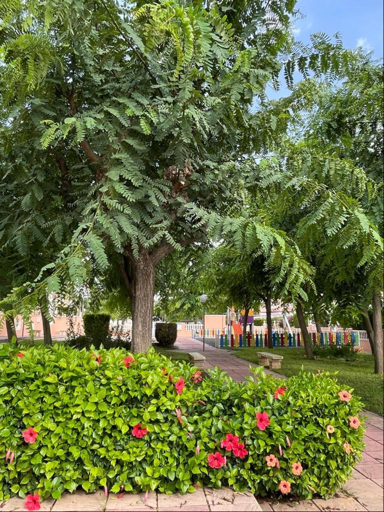 Gran Alicante Bungalow In Beach Resort Puerto Marino Ngoại thất bức ảnh