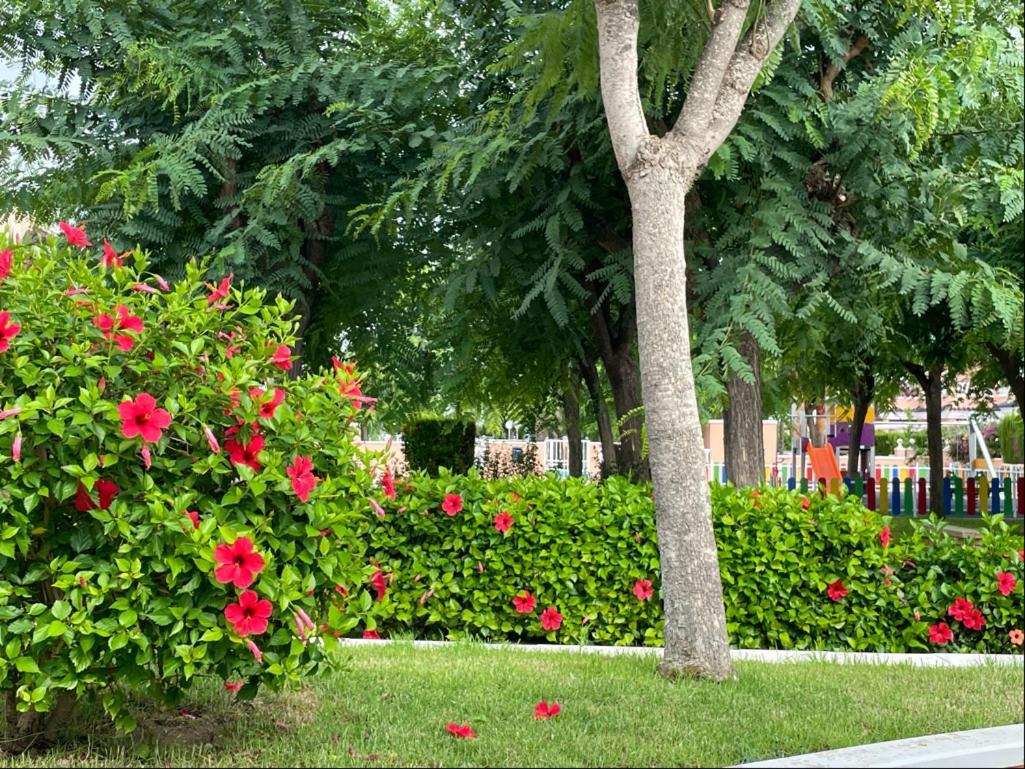 Gran Alicante Bungalow In Beach Resort Puerto Marino Ngoại thất bức ảnh